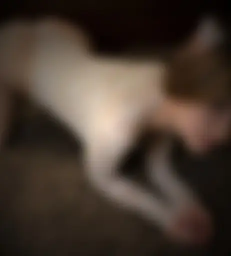 Image 10197306 from Lerka ASMRka / lerkaasmrka / ShinyStar ASMR