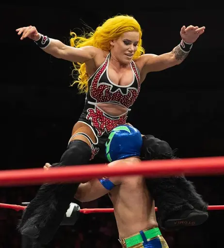 Image 10024009 from Taya Valkyrie
