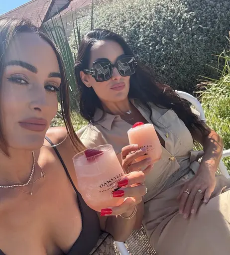 Image 10030750 from The Bella Twins: Nikki Bella &amp; Brie Bella | Garcia Twins
