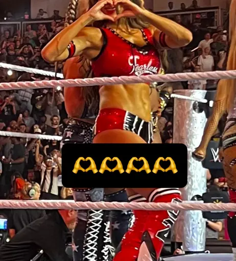 Image 10030777 from The Bella Twins: Nikki Bella &amp; Brie Bella | Garcia Twins