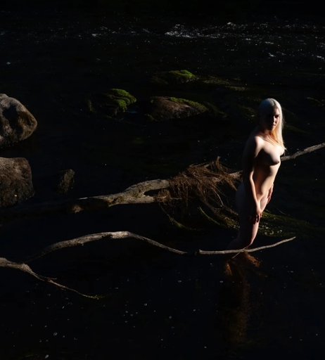 Image 10001144 from Catherine_D