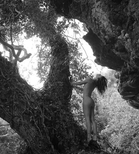 Image 10089920 from Luca Hollestelle