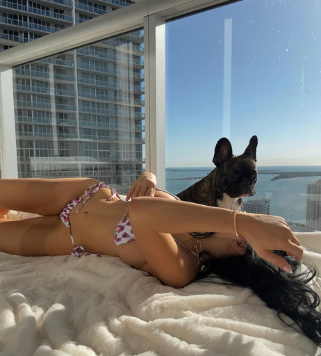 Image 317528 from Ariana