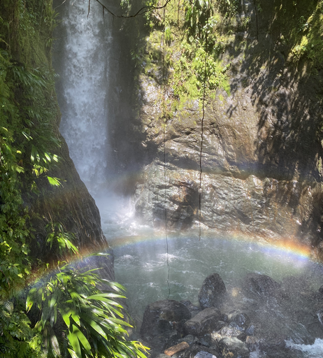 Image 357277 from LowellEffy