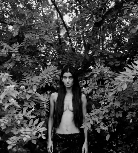 Image 3579864 from Sharda Sharma