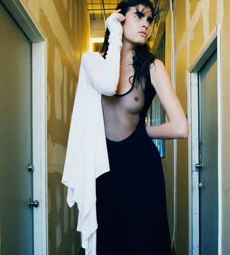 Image 3513053 from Alisar Ailabouni