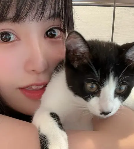 Image 3616653 from MaiMai まいまい / maimai__twitch