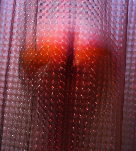 Image 302954 from Nikola Alokin