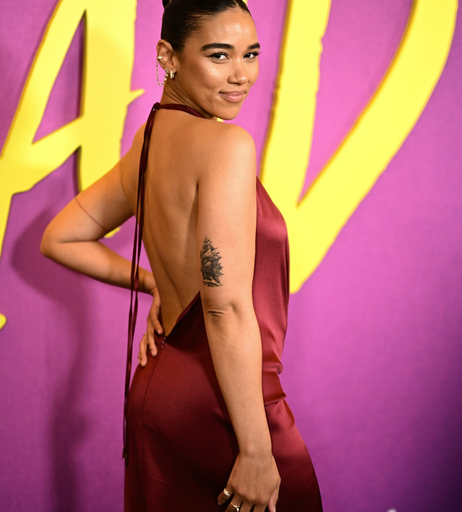 Image 3006004 from Alexandra Shipp