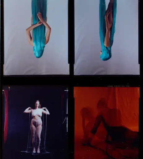 Image 6196668 from Eliza Goldsmith