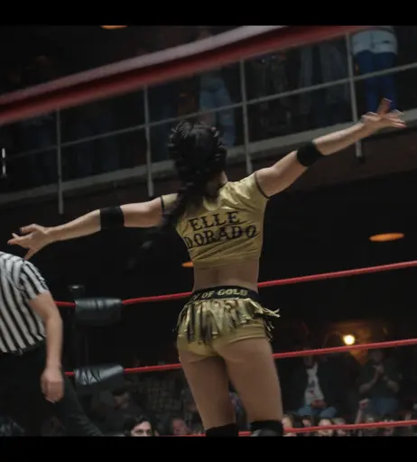 Image 6262177 from Women of Professional Wrestling