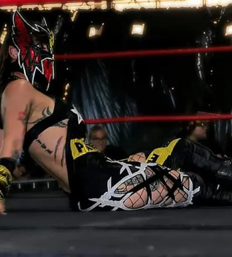 Image 6260615 from Women of Professional Wrestling