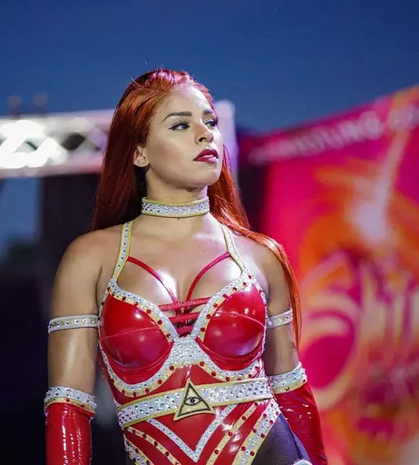 Image 6255245 from Women of Professional Wrestling