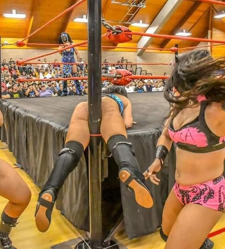 Image 6256245 from Women of Professional Wrestling