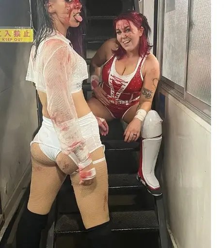 Image 6259009 from Women of Professional Wrestling