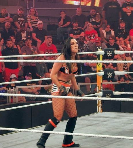 Image 6245283 from Women of Professional Wrestling