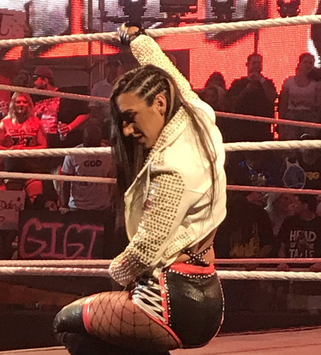 Image 6245269 from Women of Professional Wrestling