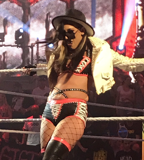 Image 6245239 from Women of Professional Wrestling