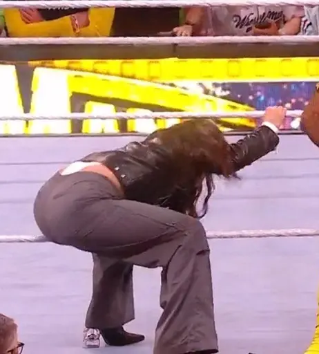 Image 6247588 from Women of Professional Wrestling