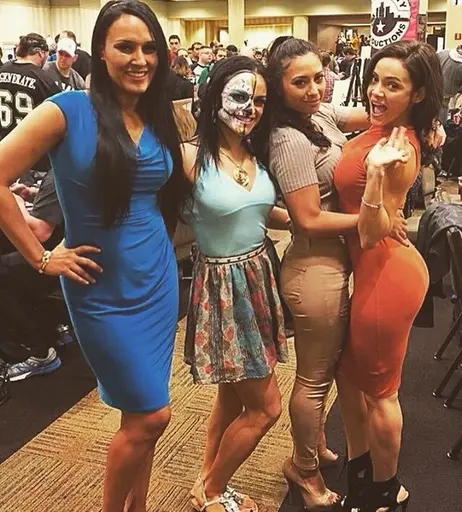 Image 6239775 from Women of Professional Wrestling
