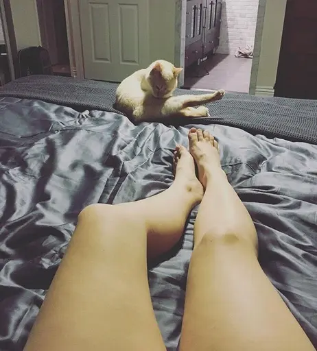 Image 6219075 from Dodger | presshearttocontinue | dexbonus