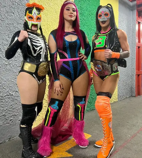 Image 6351753 from Women of Professional Wrestling