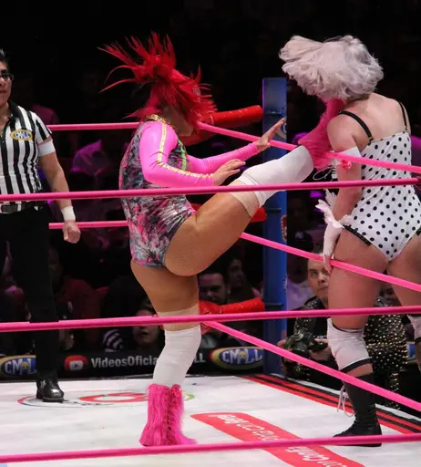 Image 6351715 from Women of Professional Wrestling