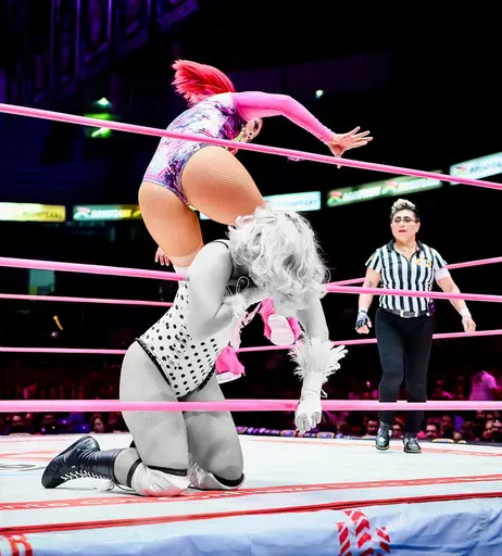 Image 6351683 from Women of Professional Wrestling