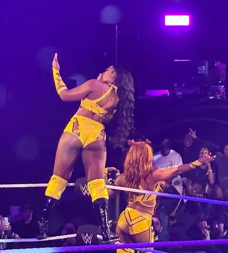 Image 6349882 from Women of Professional Wrestling