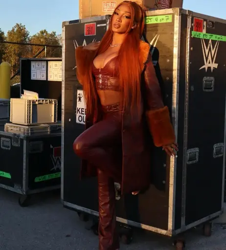 Image 6314920 from Women of Professional Wrestling