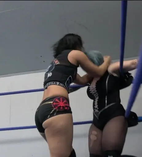 Image 6311506 from Women of Professional Wrestling