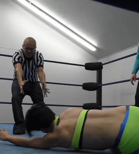 Image 6303559 from Women of Professional Wrestling