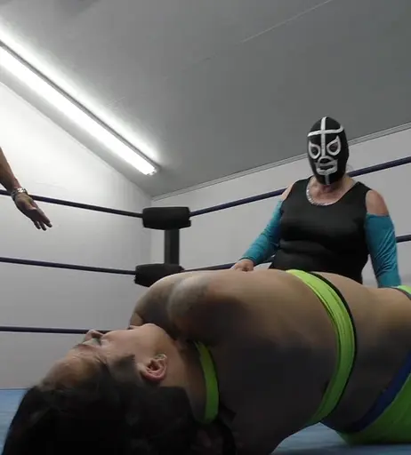Image 6303500 from Women of Professional Wrestling