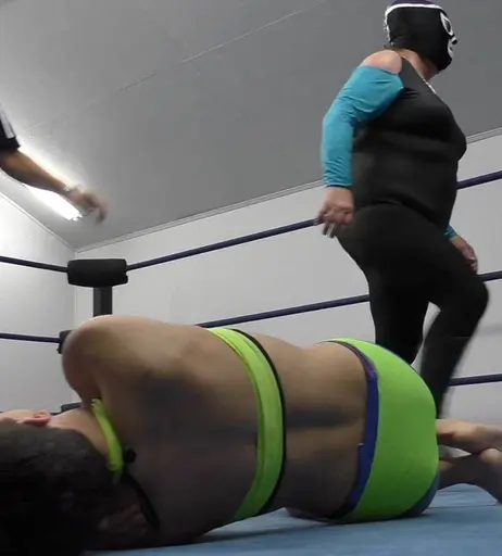 Image 6303483 from Women of Professional Wrestling