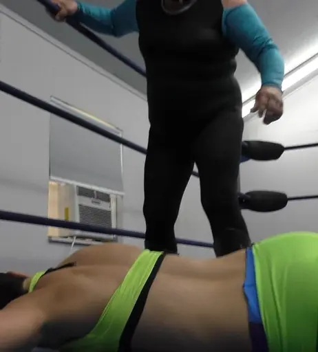 Image 6303451 from Women of Professional Wrestling