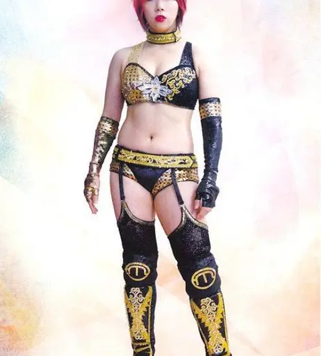 Image 6309005 from Women of Professional Wrestling