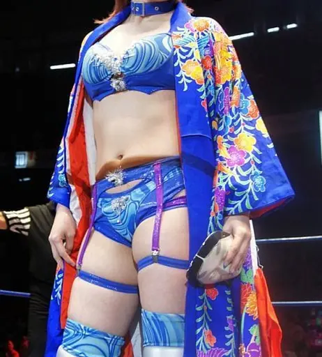 Image 6308862 from Women of Professional Wrestling