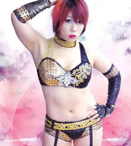 Image 6308988 from Women of Professional Wrestling