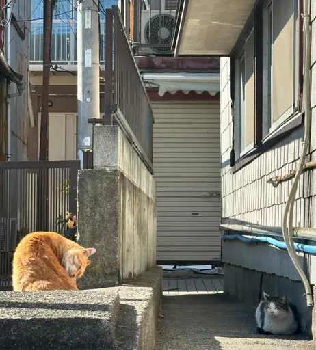 Image 6981259 from skr_u_