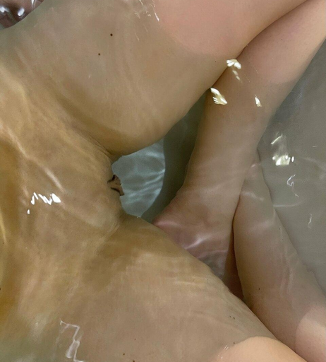Image 6407334 from Alana Araya