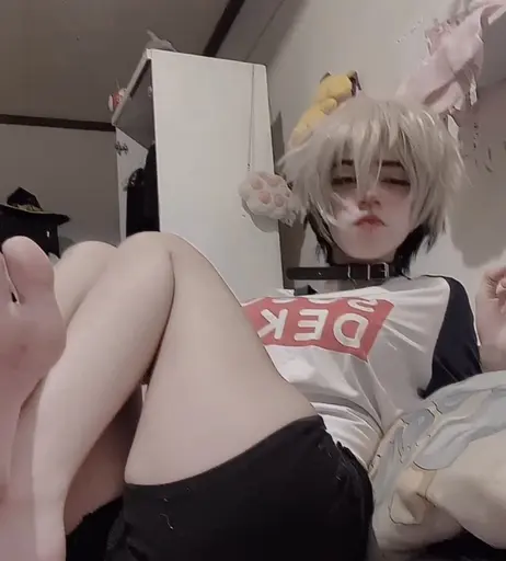 Image 6597566 from 1creppy / bingus cat / _1creepyy