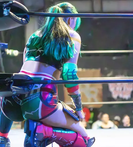 Image 6582260 from Women of Professional Wrestling