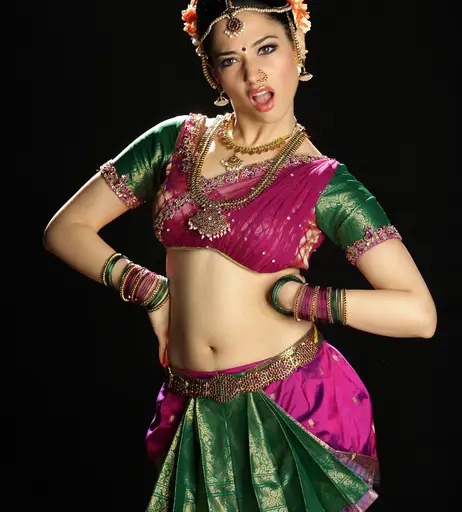 Image 6571520 from Tamanna Bhatia