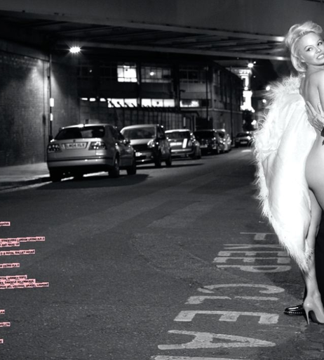Image 6551804 from Pamela Anderson
