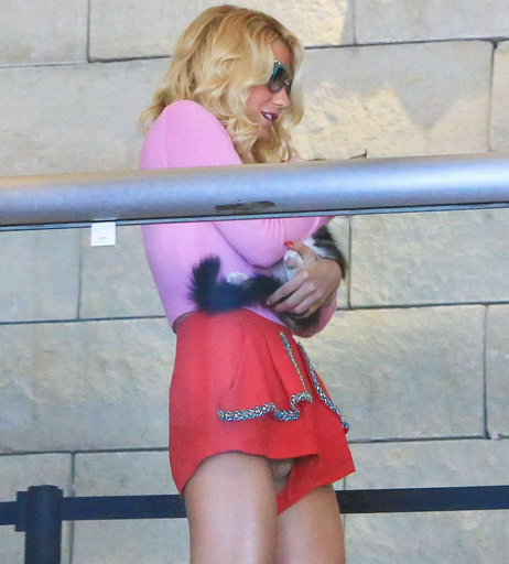 Image 6559167 from Kesha