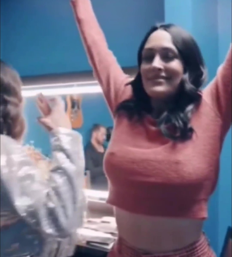 Image 6511449 from Brie Bella