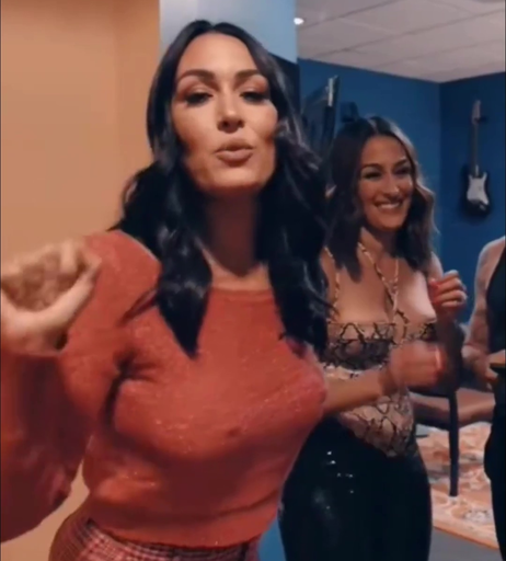 Image 6511314 from Brie Bella
