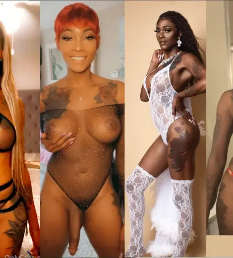 Image 6662860 from Brandy Bugotti | transforfans