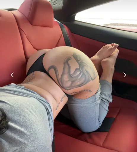 Image 6648336 from Sahlt - onlysahlt