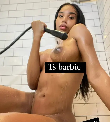 Image 6609007 from BarbieDolllFlavor